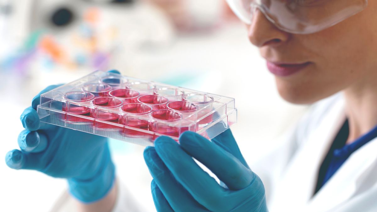 Czy zahamowanie autofagii może przełamać oporność na CDK4/6? Badanie I fazy łączące...