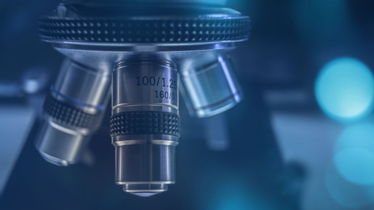 Ezabenlimab z chemioterapią indukcyjną i następową radiochemioterapią w leczeniu...
