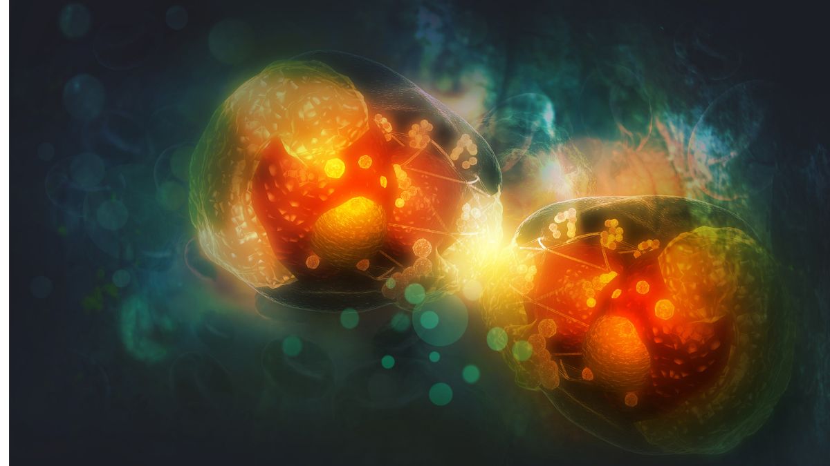 Tamoksyfen jako pozagenetyczny aktywator szlaku PI3K w raku trzonu macicy: nowe...