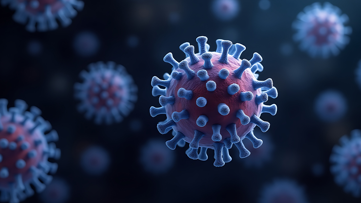 Immunogenność i skuteczność przedkliniczna komórek dendrytycznych załadowanych epitopami CD8⁺ pochodzącymi z białka E6 HPV11