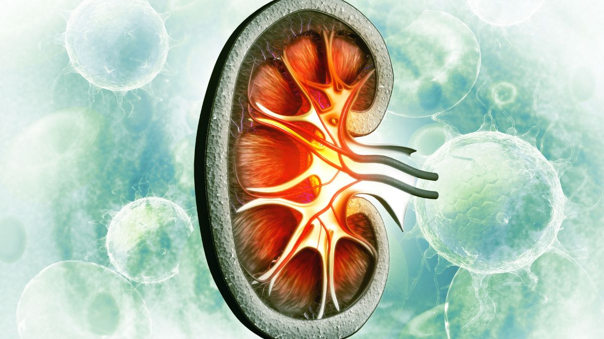 Kiedy warto wrócić do immunoterapii? Znaczenie czasu w leczeniu przerzutowego raka...