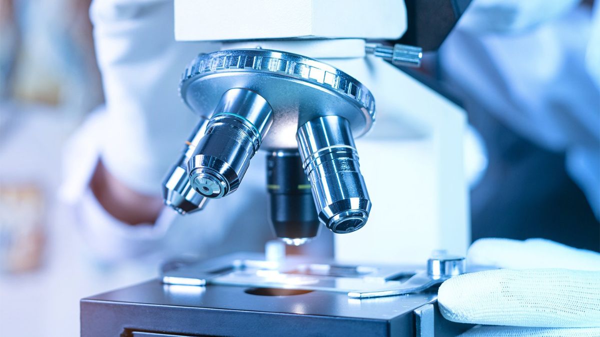 Od USG po diagnostykę molekularną: nowoczesne podejście do leczenia raka endometrium