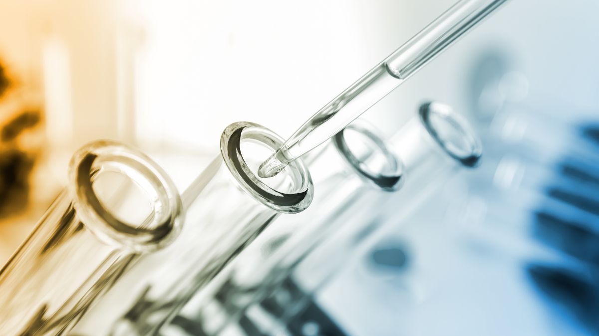 Gdańsk | Naukowcy z UG pracują nad immunoterapią na raka płuca
