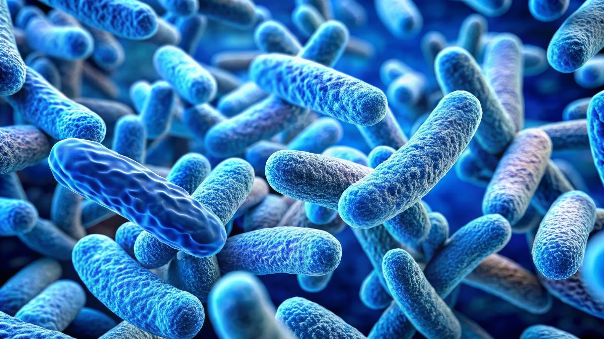 Mikrobiota jelitowa i ekspresja genów odpornościowych jako potencjalne biomarkery...