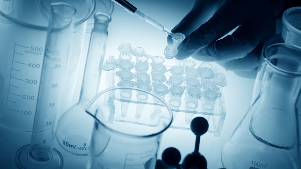 Oś c-Jun/SOX2/HIF1α jako mediator progresji i reprogramowania metabolicznego w SCC